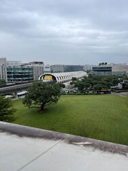 Blk 247 Tampines Street 21 (Tampines), HDB 4 Rooms #418952191